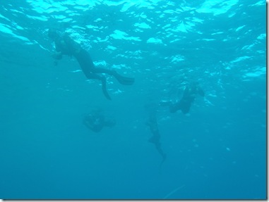 PC070184