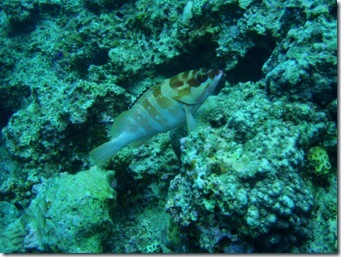 P7021041