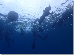 10時サカモト様シミズ様ヤマグチ様 (65)