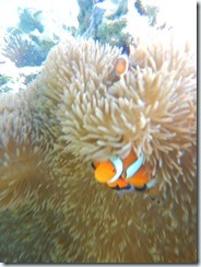 15時カワカミ様サノ様ナカヅカ様 (104)
