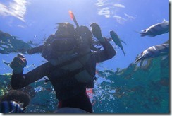 7月22日ブログ (33)
