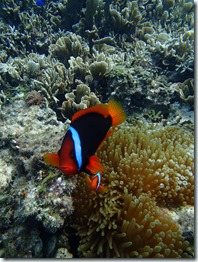 P9230012