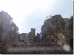 P7268718