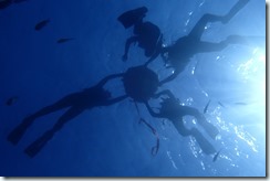 11時ニシカワ様イシダ様 (64)