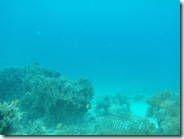PB053497