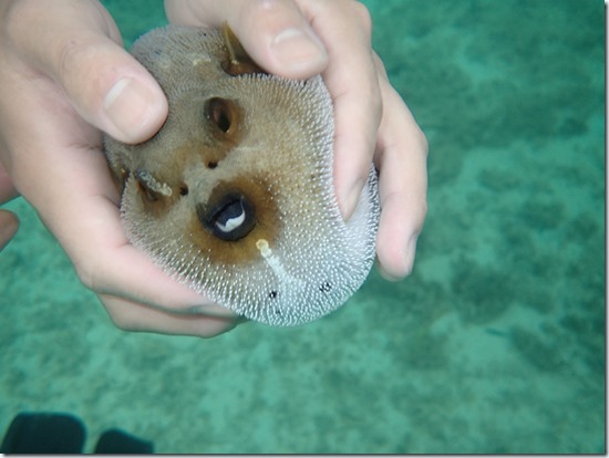 12時イサイ様ﾏｶﾍﾞ様ﾊﾏｻｶ様ｴﾄｳ様 (99)