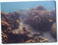 PB161354