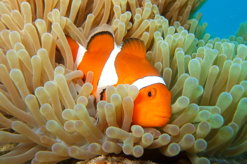 水族館