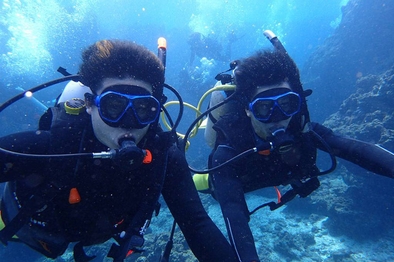 カラフルな熱帯魚たち