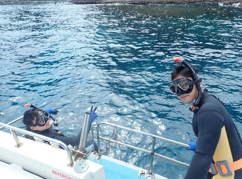 熱帯魚餌付けシュノーケル