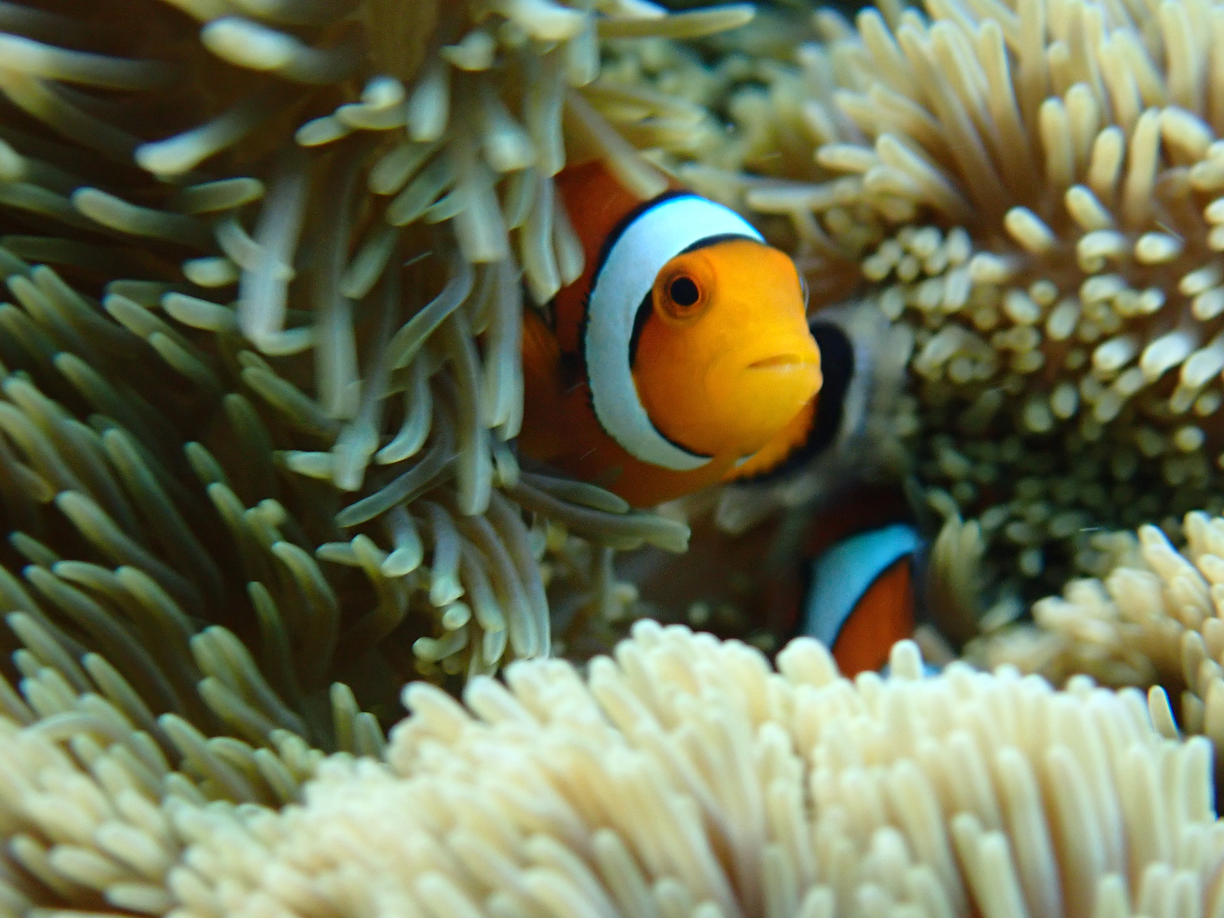 https://www.sword-fish1.com/news/1008-9%20%2878%29.JPG
