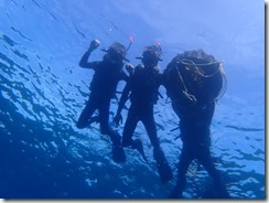 15時ｻﾄｳ様ﾅｶﾊﾗ様ｱｷﾓﾄ様 (9)