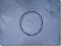P6210080
