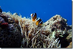 PC030056