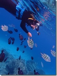 15時ナガサワ様 (23)