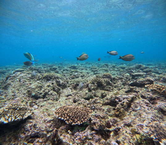 GOPR7726.JPG