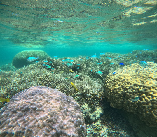 GOPR0165.JPG