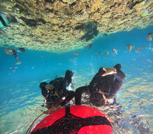 GOPR0564.JPG