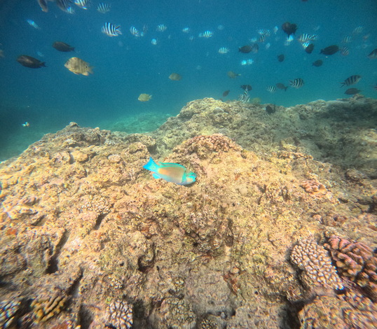 GOPR2094.JPG