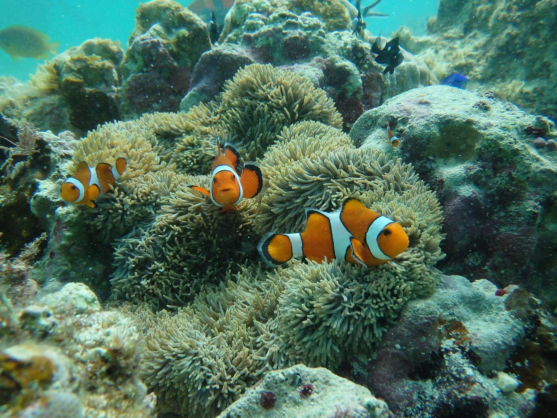 https://www.sword-fish1.com/news/image6.jpeg